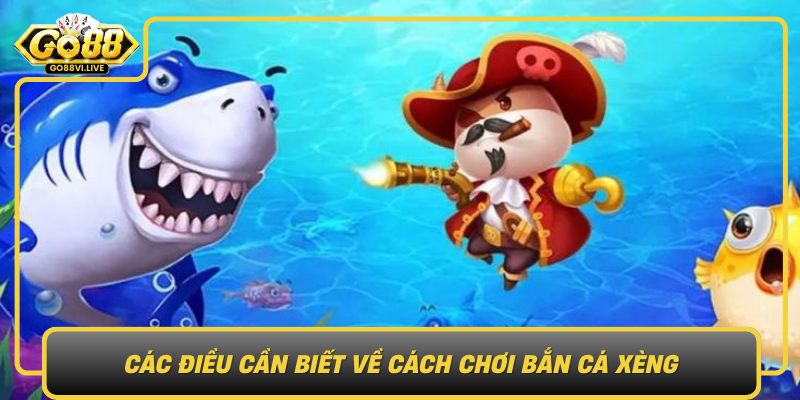 Các Điều Cần Biết Về Cách Chơi Bắn Cá Xèng Cac Dieu Can Biet Ve Cach Choi Ban Ca Xeng