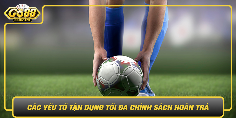 Cac Yeu To Tan Dung Toi Da Chinh Sach Hoan Tra