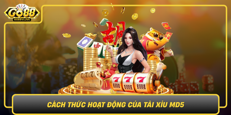 Cach Thuc Hoat Dong Cua Tai Xiu Md5