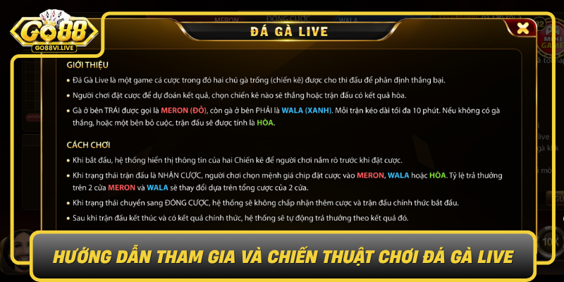 Huong Dan Tham Gia Va Chien Thuat Choi Da Ga Live0