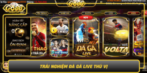 Trai Nghiem Da Ga Live Thu Vi Game Dinh Cao Tai Go88 Moi Thoi Diem0